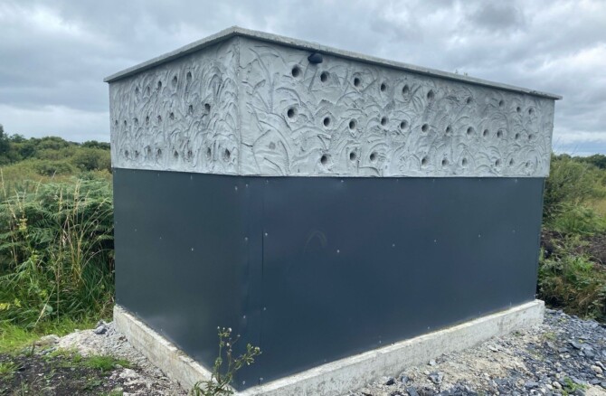 Sand Martin Nesting Wall 1