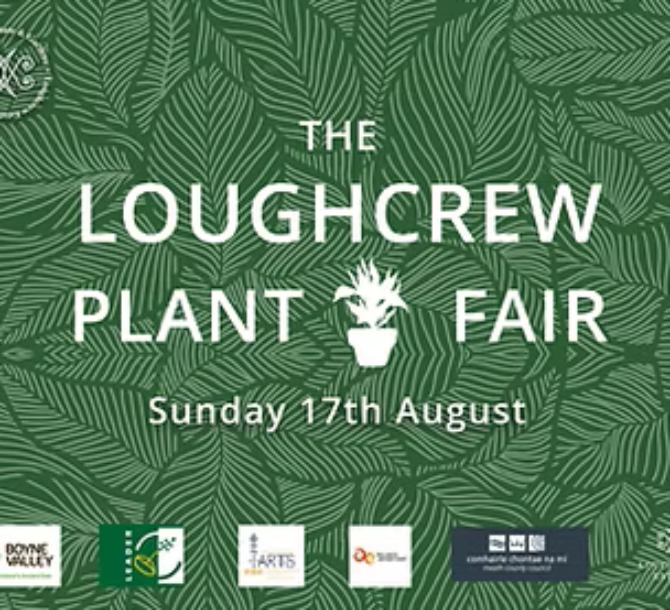 Screenshot 2025 05 13 134330