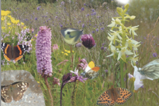 Screenshot 2025 06 20 at 15 43 58