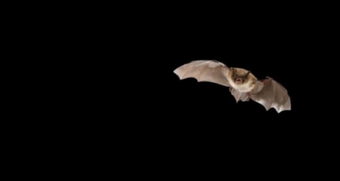 Screenshot 26 6 2025 154210 www bing com