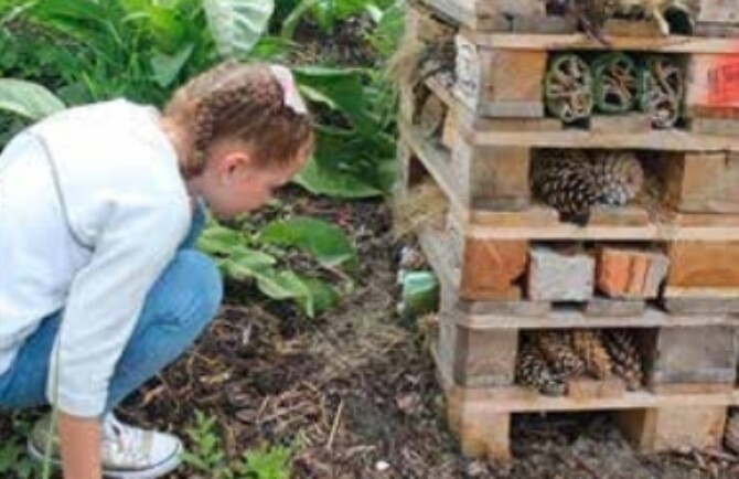 Screenshot 26 6 2025 15752 www fingal ie