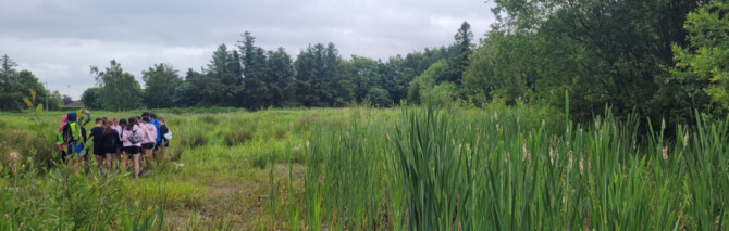Shannon Town Community Wetlands