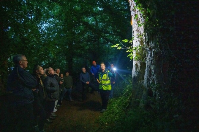 Sonairte Bat Walk56 Resized