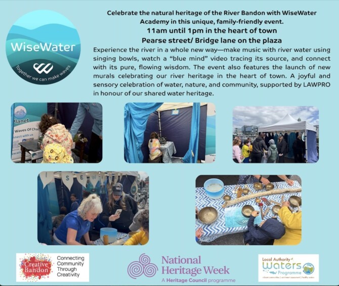 The Resonant Bandon river event