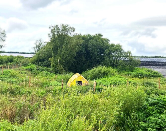 Timahoe3 min Timahoe3 min