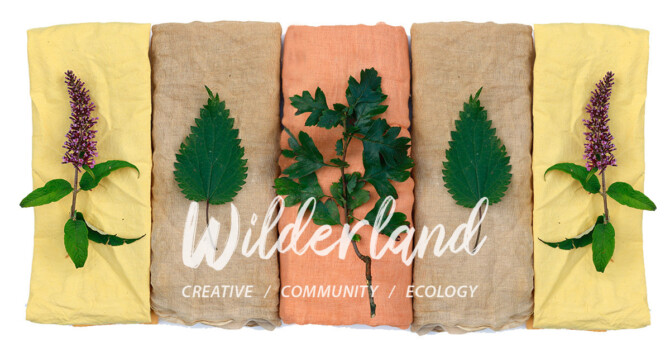 WLD 20250817 NMHC Dyes HW image