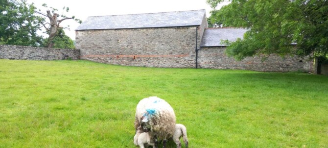 Whats App Image 2025 05 31 at 15 36 52 63404f9a Whats App Image 2025 05 31 at 15 36 52 63404f9a