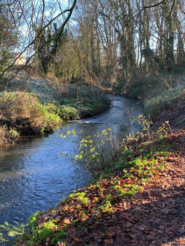 Whats App Image 2025 06 24 at 6 36 56 PM