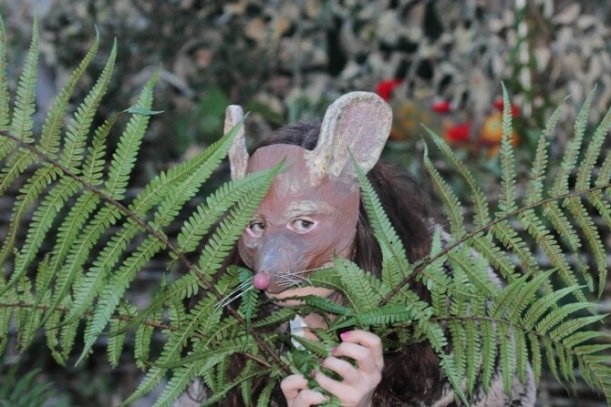 Wild Justice 1 by Colin s TANLEY