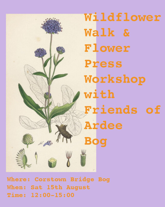 Wildflower Workshop