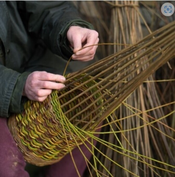 Willow wonder workshop