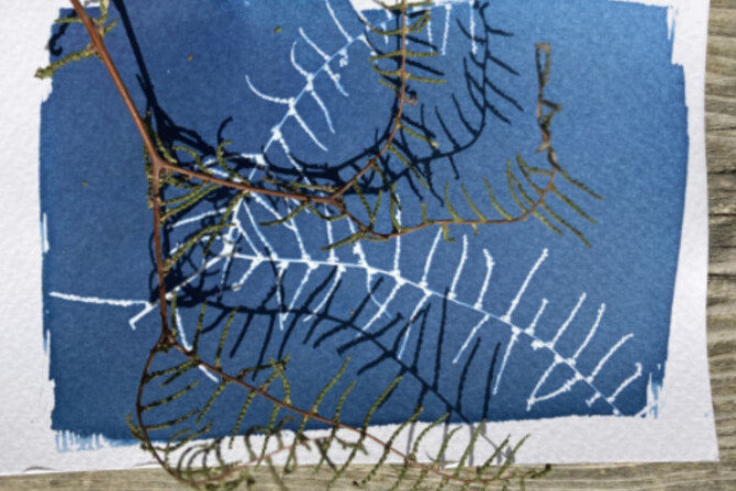 Big ticket image 68397d891cacf632381762 cropped600 400 Big ticket image 68397d891cacf632381762 cropped600 400