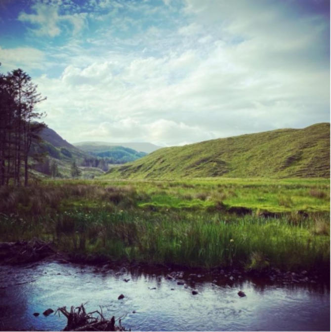 Bogland walk Bogland walk