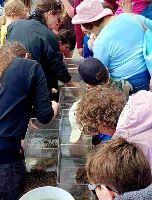 Heritage week 2025 Heritage week 2025