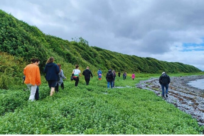 Heritage week foraging five Heritage week foraging five
