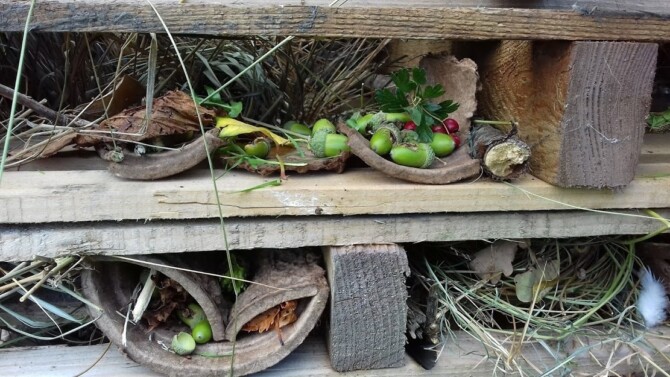 Kgc bug hotel Kgc bug hotel