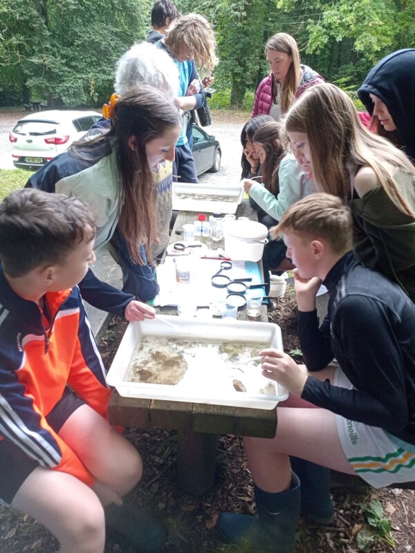 Kick sample min Kick sample min