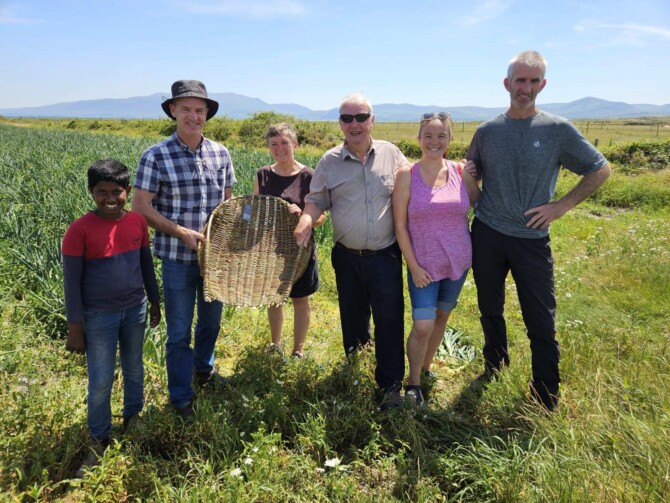 Onion basket photo Onion basket photo