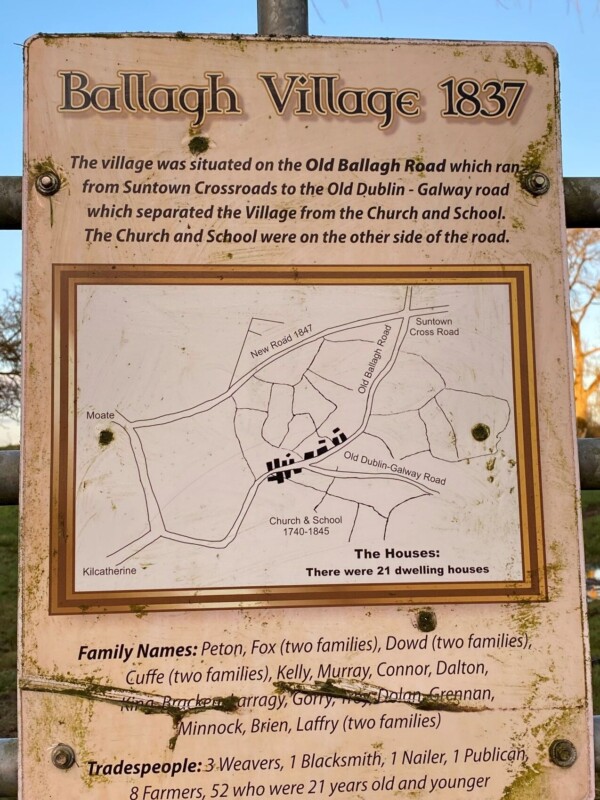 Resized image Resized image