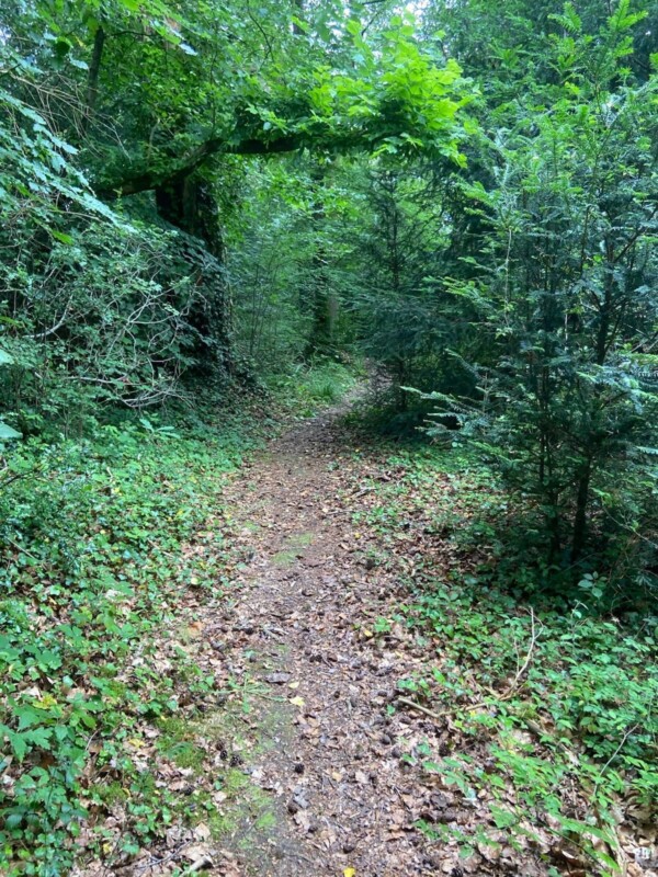 St mullins St mullins