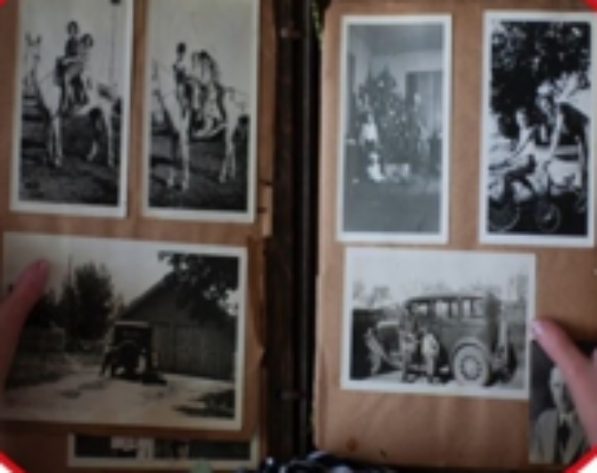 Newmarket Family History