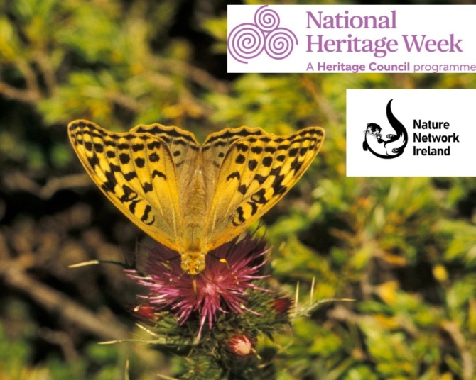 Silver washed Fritillary freenature eu logos Silver washed Fritillary freenature eu logos