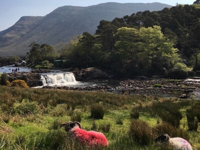 Aasleigh Falls Galway Tourism