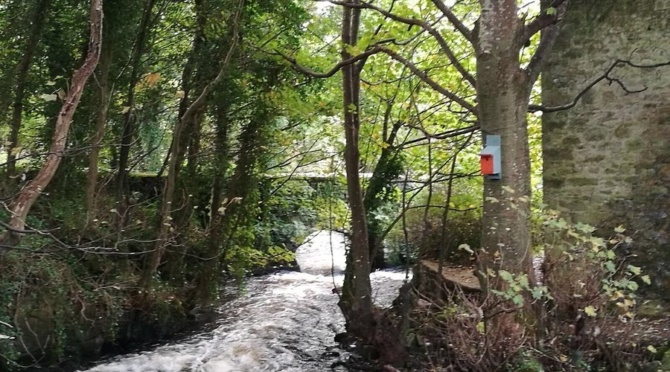 Abbey River