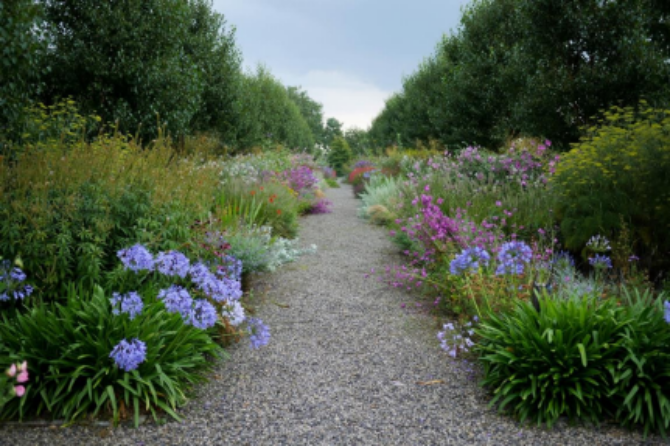 Aghaboe Gardens