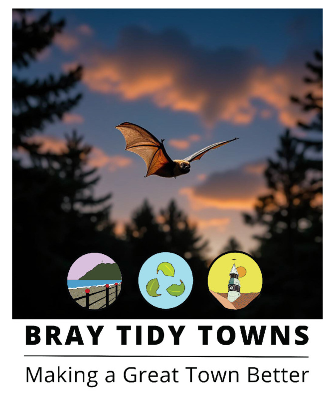 BTT Bat image BTT Bat image