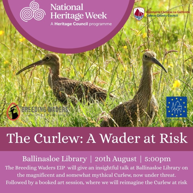 Ballinalsoe Library Curlew Ballinalsoe Library Curlew