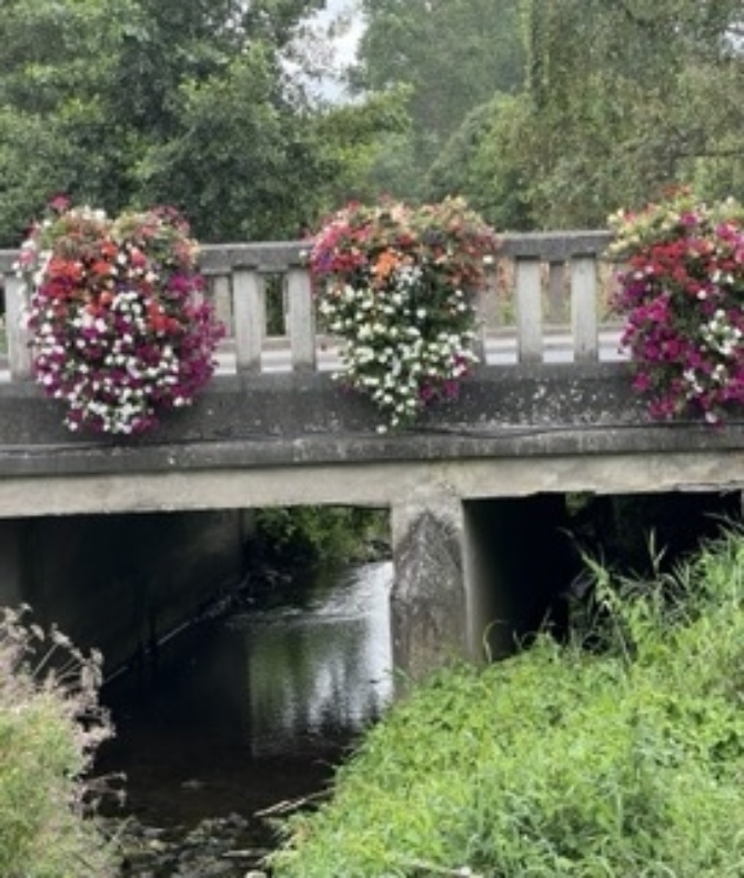 Ballyboughal river Small