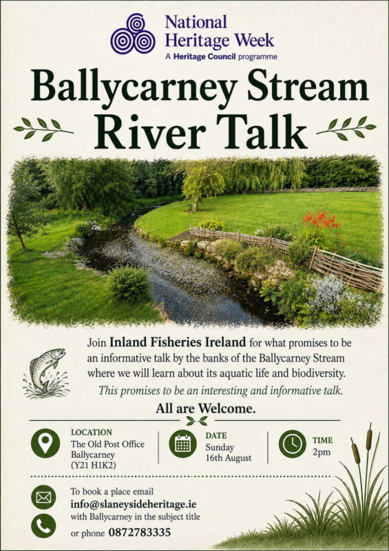 Ballycarney Stream River Talk Ballycarney Stream River Talk