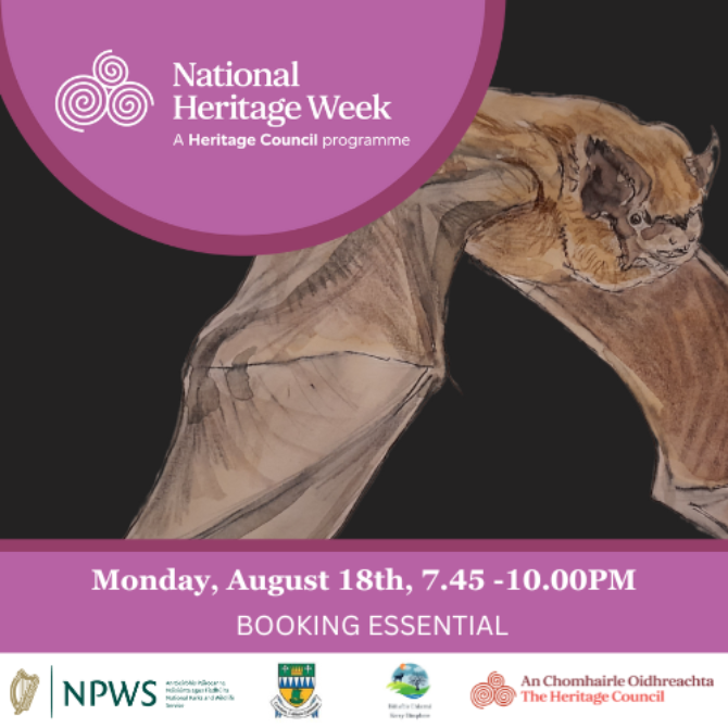 Bat image for website 2 Bat image for website 2