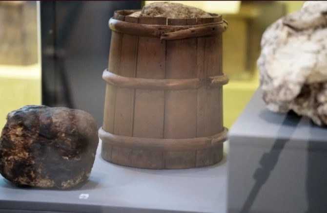 Bog Butter Bog Butter