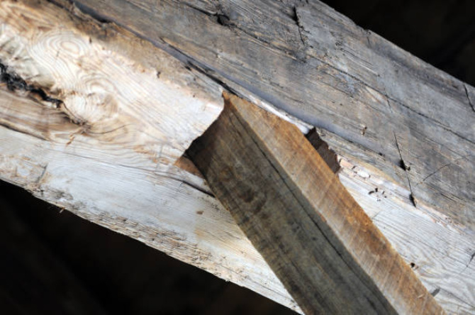 Carpentery 2 Carpentery 2