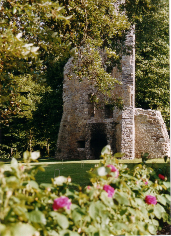 Castle Tower Flowers