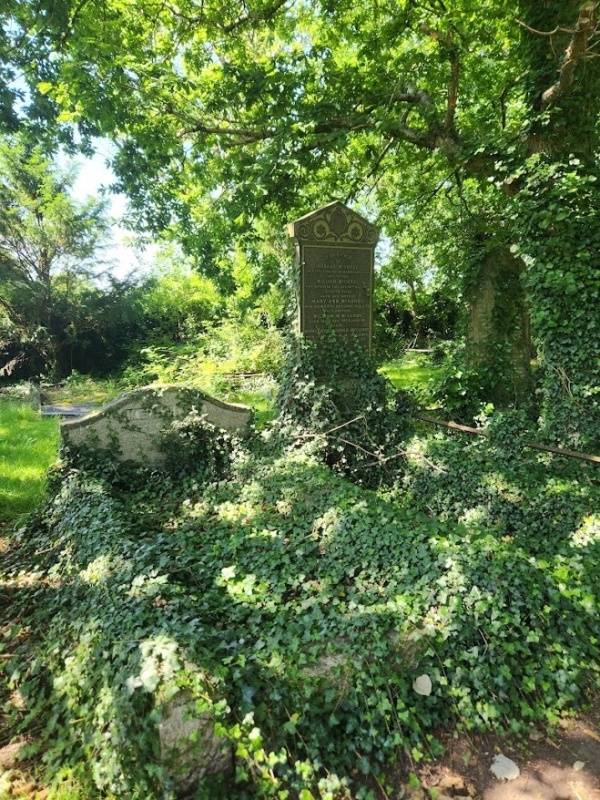 City Cemetery overgrown