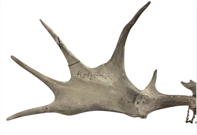 ELK background removed