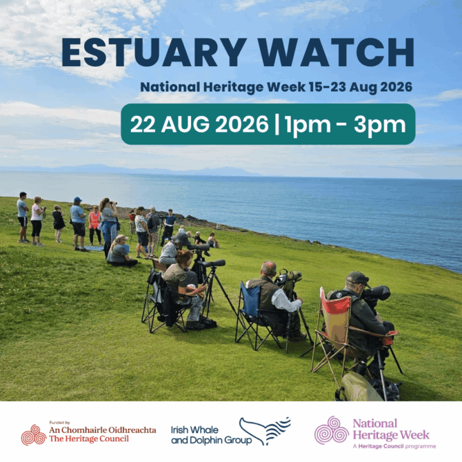 Estuary Watch