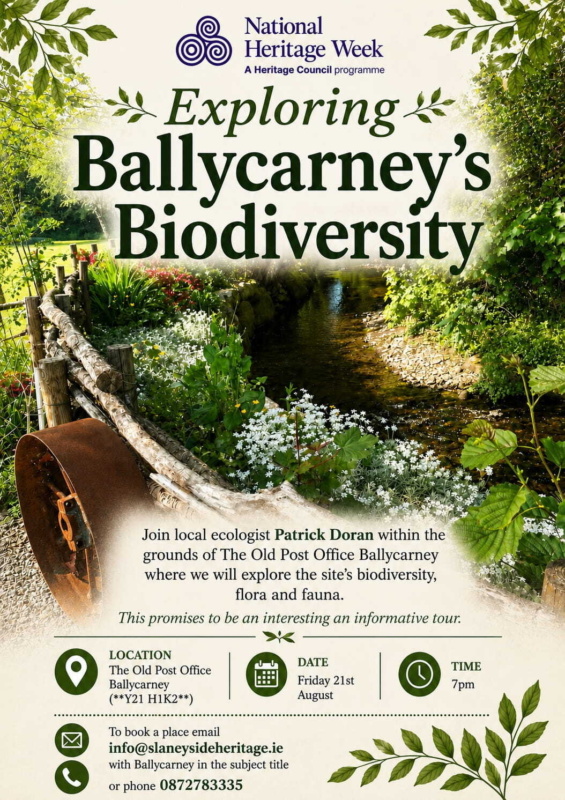 Exploring Ballycarney Biodiversity Exploring Ballycarney Biodiversity
