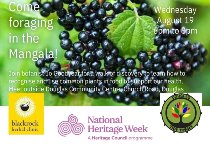 Foraging Walk DTT26c Foraging Walk DTT26c