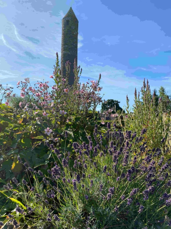 Garden and tower compressed 1