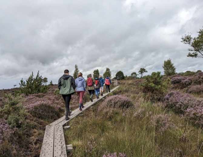 HW Girley Bog Walk HW Girley Bog Walk