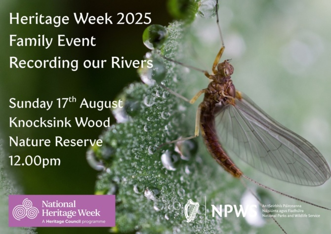 Heritage Week 2025 Recording our Rivers