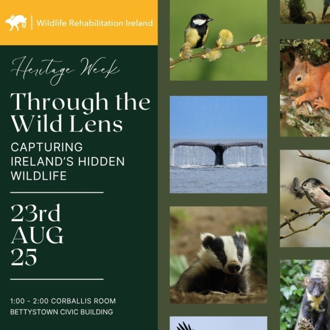 Heritage Week 25 2