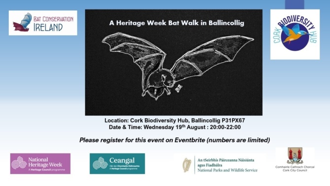 Heritage Week Bat Walk Ballincollig 2026 Heritage Week Bat Walk Ballincollig 2026