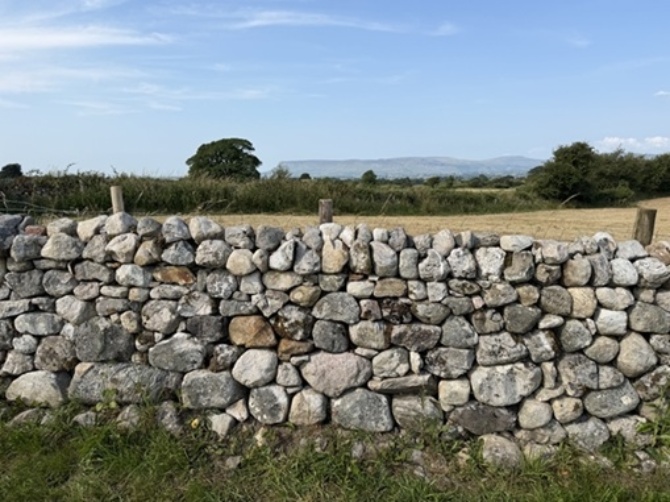IMG 0027d