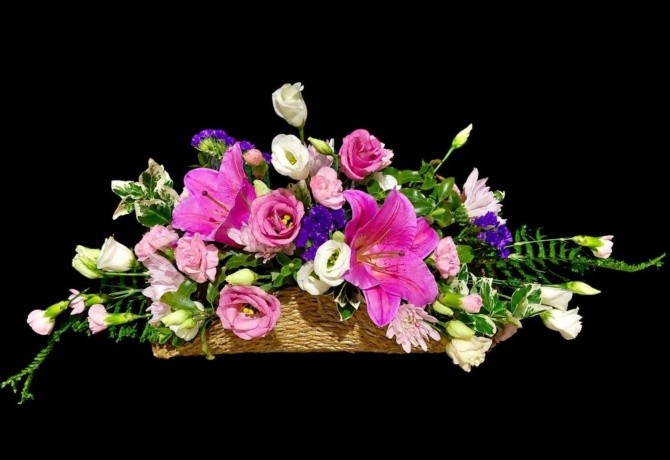 IMG 2226 IMG 2226
