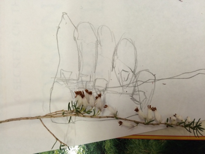 Image of Lisas work